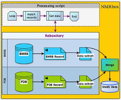 Merging NMR Data and Computation Facilitates Data-Centered Research